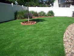 Patio Turf Grass for Yard
